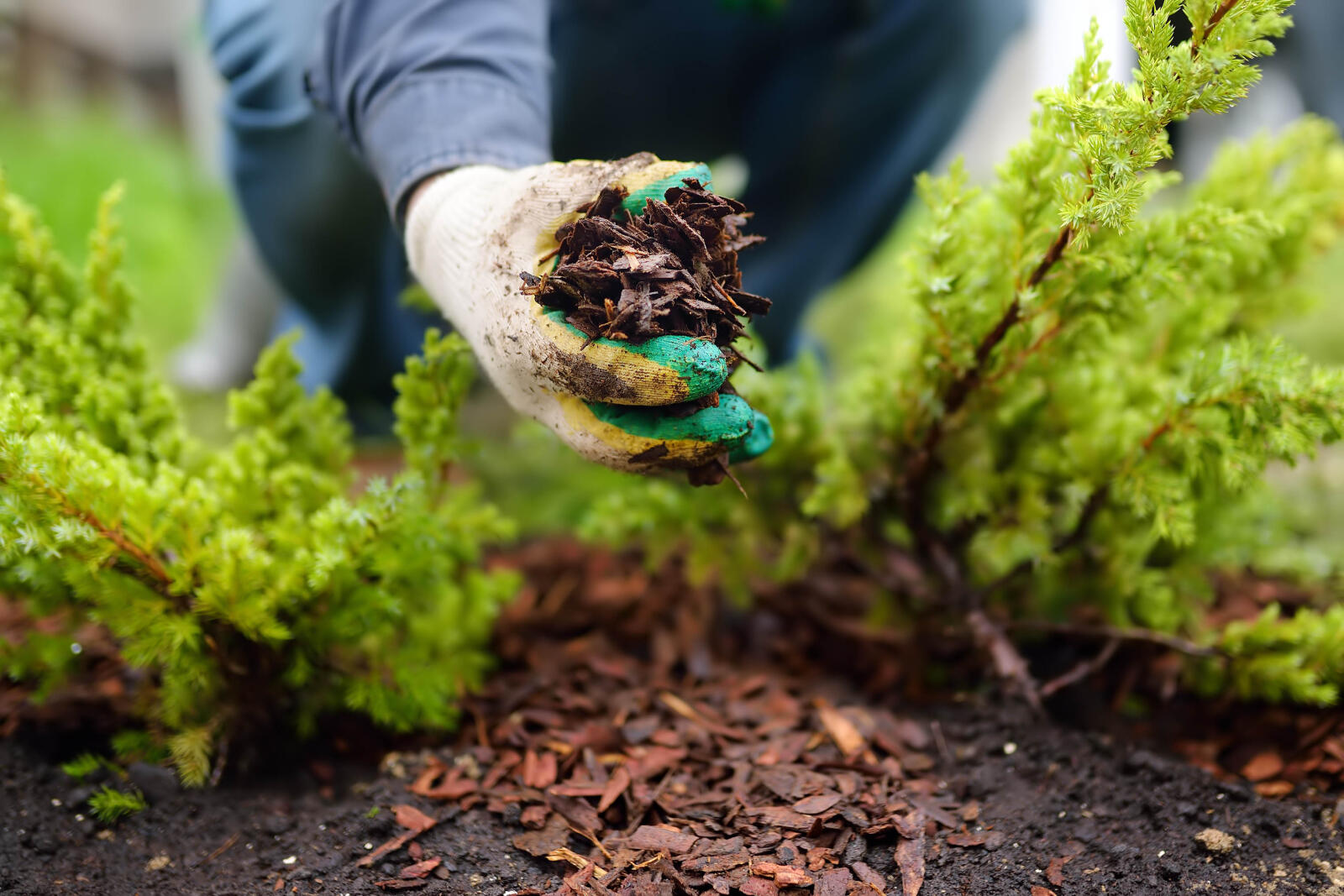 Avon mulch delivery